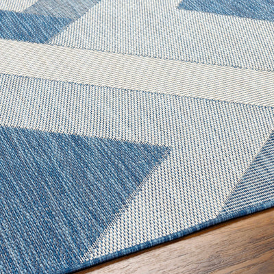 Adwen Blue Area Rug