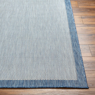 Aleid Blue Area Rug