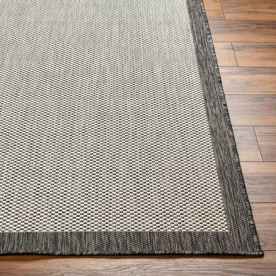 Aleid Gray Area Rug