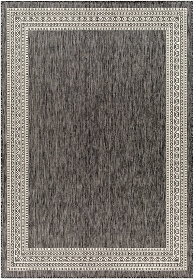 Aleli Black & White Area Rug