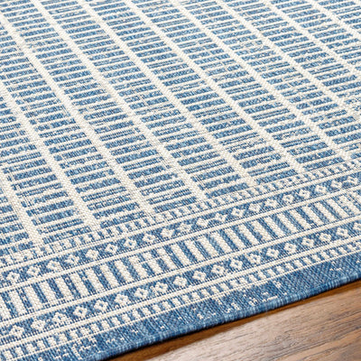 Amena Blue Area Rug