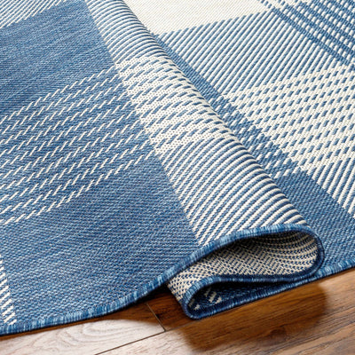 Aubin Blue Plaid Area Rug