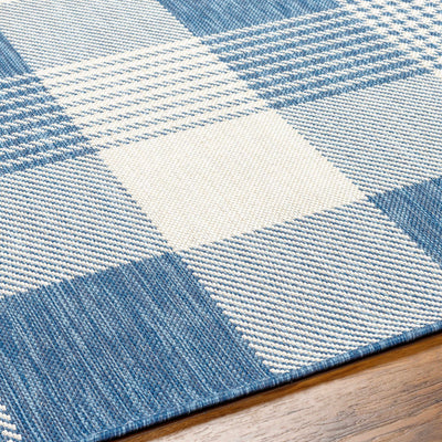 Aubin Blue Plaid Area Rug