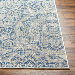 Ayala Blue Area Rug