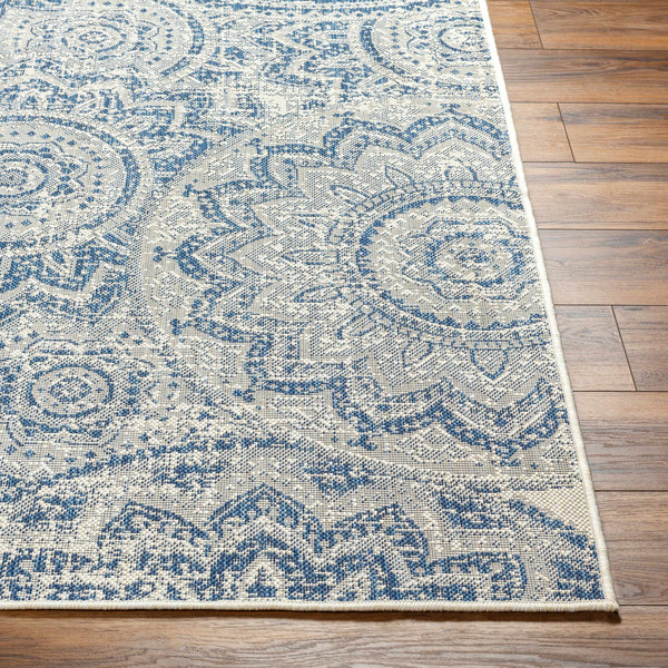 Ayala Blue Area Rug