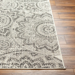 Ayala Gray Area Rug