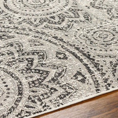 Ayala Gray Area Rug