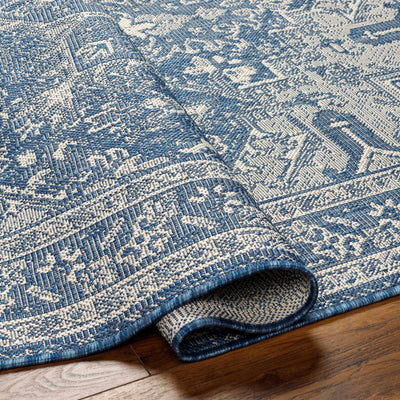 Cohen Blue Area Rug