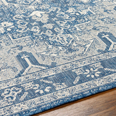 Cohen Blue Area Rug