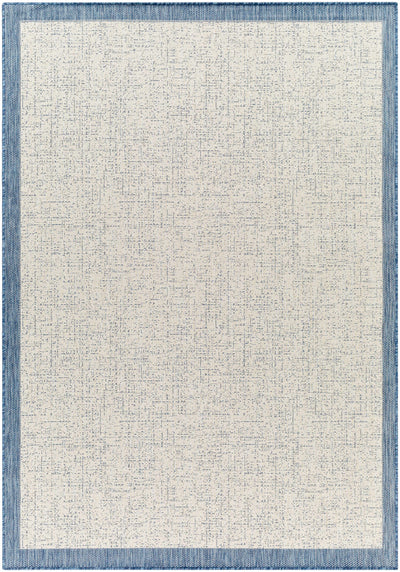 Demas Blue & Cream Area Rug