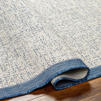 Demas Blue & Cream Area Rug