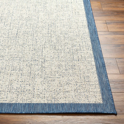 Demas Blue & Cream Area Rug