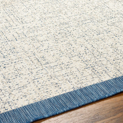 Demas Blue & Cream Area Rug