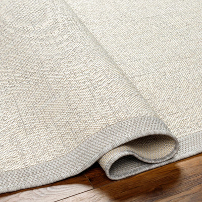 Demas Cream Area Rug