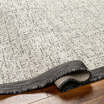 Demas Gray & Cream Area Rug