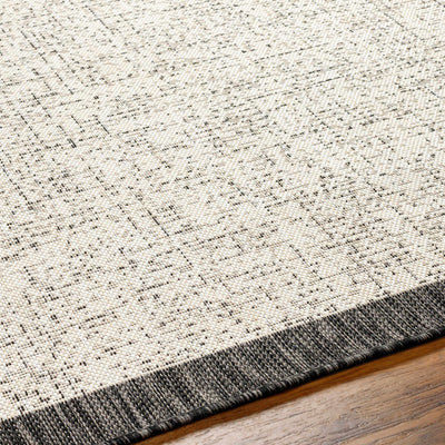 Demas Gray & Cream Area Rug