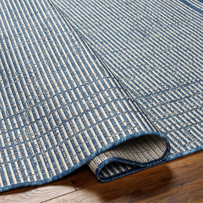 Eneco Blue Area Rug