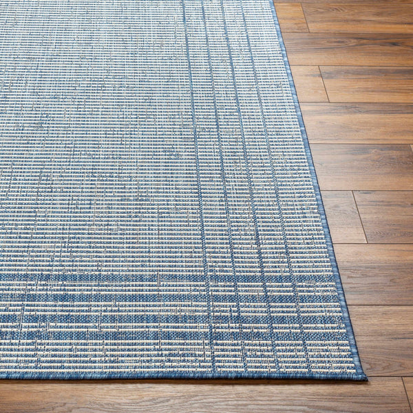 Eneco Blue Area Rug