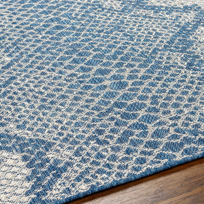 Estee Blue Area Rug