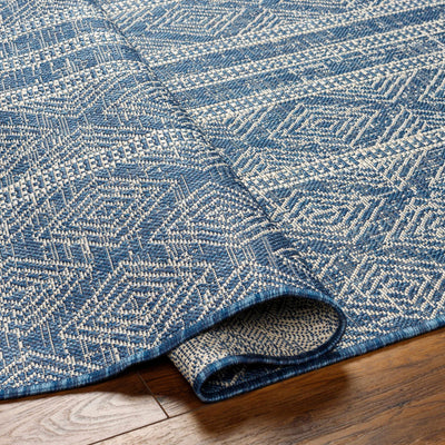 Gavin Blue Area Rug