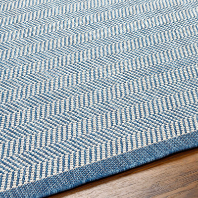 Genet Blue Area Rug