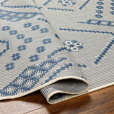 Helga Blue Area Rug