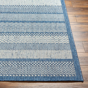 Hessa Blue Area Rug