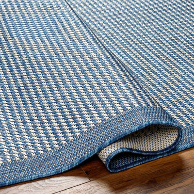 Hetal Blue Area Rug