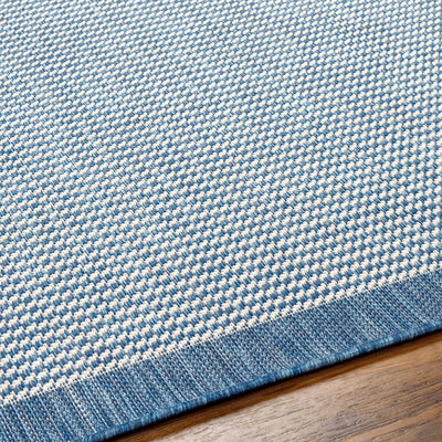 Hetal Blue Area Rug