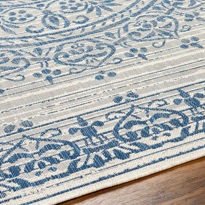 Honza Silver Blue Area Rug