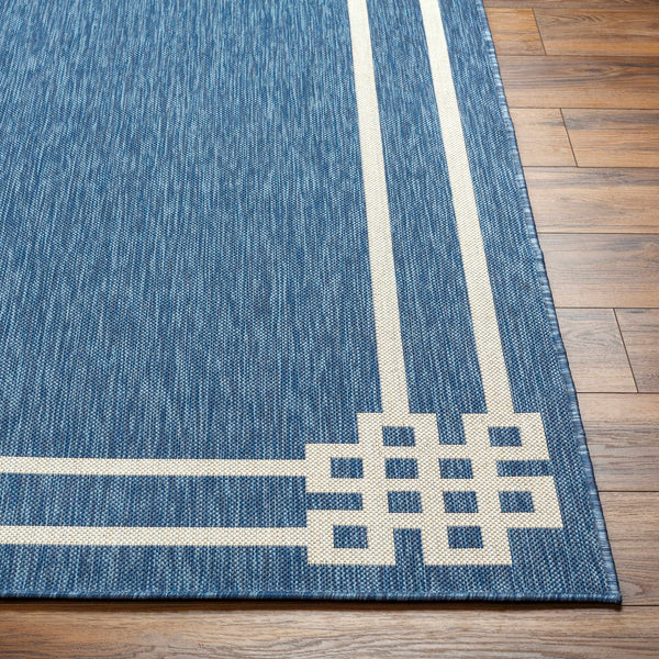 Ilori Blue Area Rug