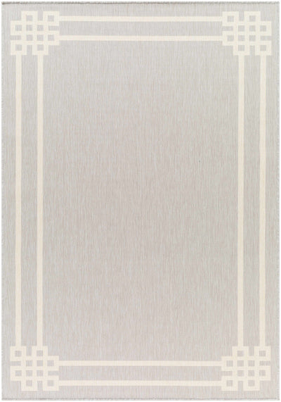 Ilori Light Gray Area Rug