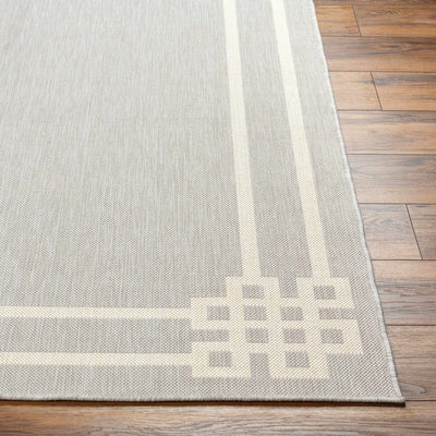 Ilori Light Gray Area Rug