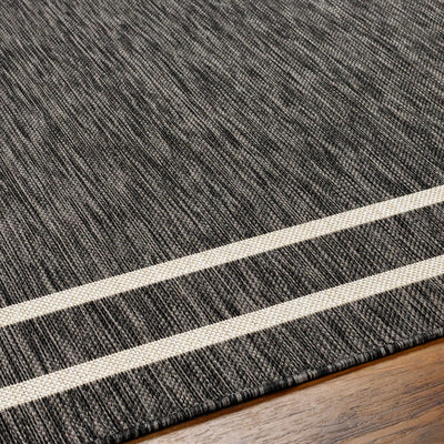 Ilori Black & White Area Rug