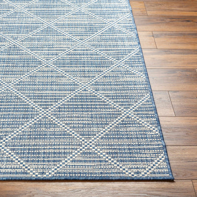 Ivora Blue Area Rug