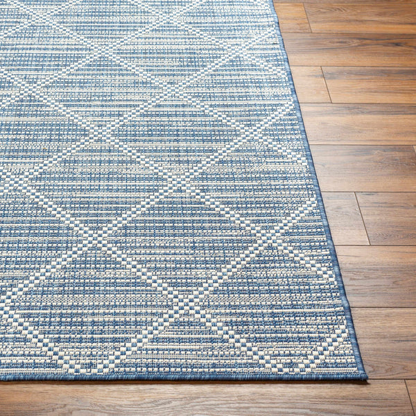 Ivora Blue Area Rug