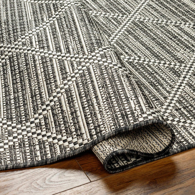 Ivory Black & White Area Rug