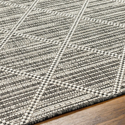 Ivory Black & White Area Rug