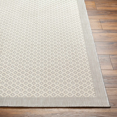 Suzu Area Rug