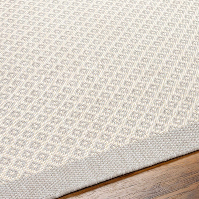 Suzu Area Rug