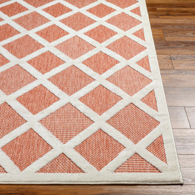 Akuna Orange Outdoor Rug - 6x9 Clearance