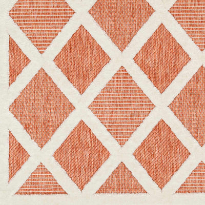 Akuna Orange Outdoor Rug - 6x9 Clearance