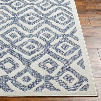 Burl Blue Outdoor Rug - Clearance