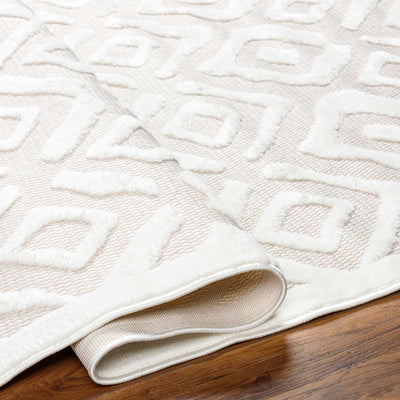 Burl Cream Outdoor Rug - Clearance