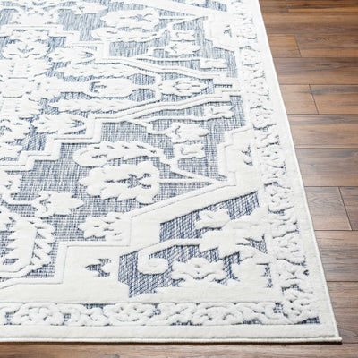 Chen Blue Outdoor Rug - Clearance