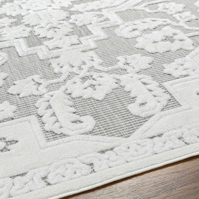 Chen Outdoor Rug - Clearance