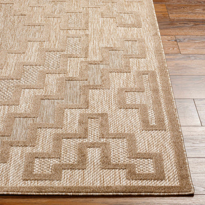 Diza Tan Outdoor Rug - Clearance