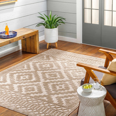 Feya Tan Outdoor Rug - Clearance