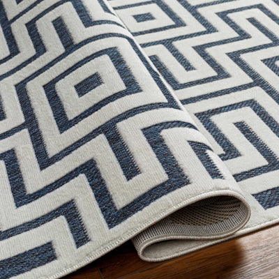 Zevi Blue Outdoor Rug - Clearance