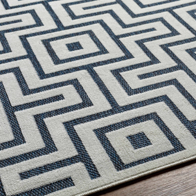 Zevi Blue Outdoor Rug - Clearance